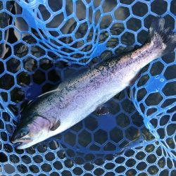 三桁釣果に大物もキャッチ！